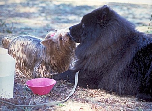 A Tender Moment